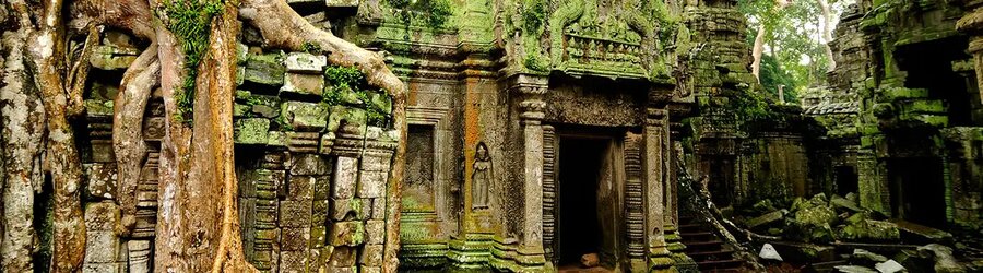 Ta Prohm Temple In Angkor Complex